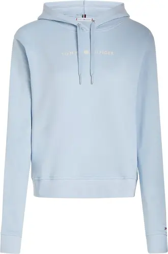 CRV REG FROSTED CORP LOGO HOODIE