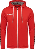 HUMMEL Fußball - Teamsport Textil - Sweatshirts Authentic Poly Kapuzenjacke