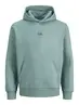 JJCORP GRAPHIC SWEAT HOOD JNR