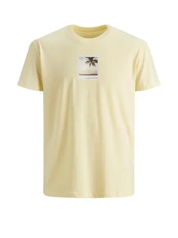 JORDYLANT TEE SS CREW NECK