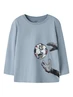 NMMLEANDER LS NREG TOP