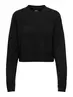 ONLMALAVI L/S CROPPED PULLOVER KNT NOOS