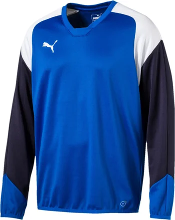 Puma Herren Sweatshirt Esito 4 Training Sweat