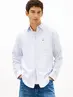 TJM REG STRIPE OXFORD SHIRT EXT
